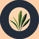 berrylane-78z.pages.dev favicon